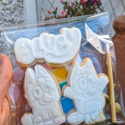 Large PYO Cookies