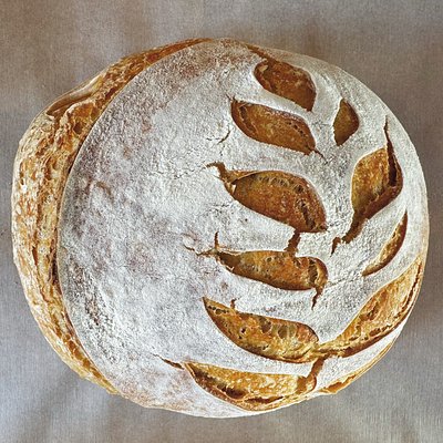 Artisan Sourdough Round Loaf 