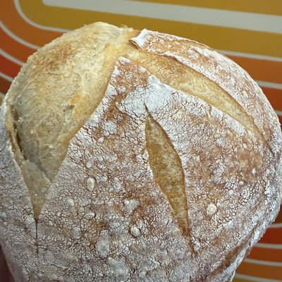 Mini Masa Madre