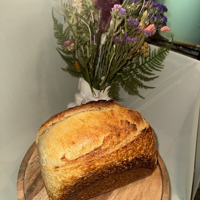 Plain Sourdough Loaf 