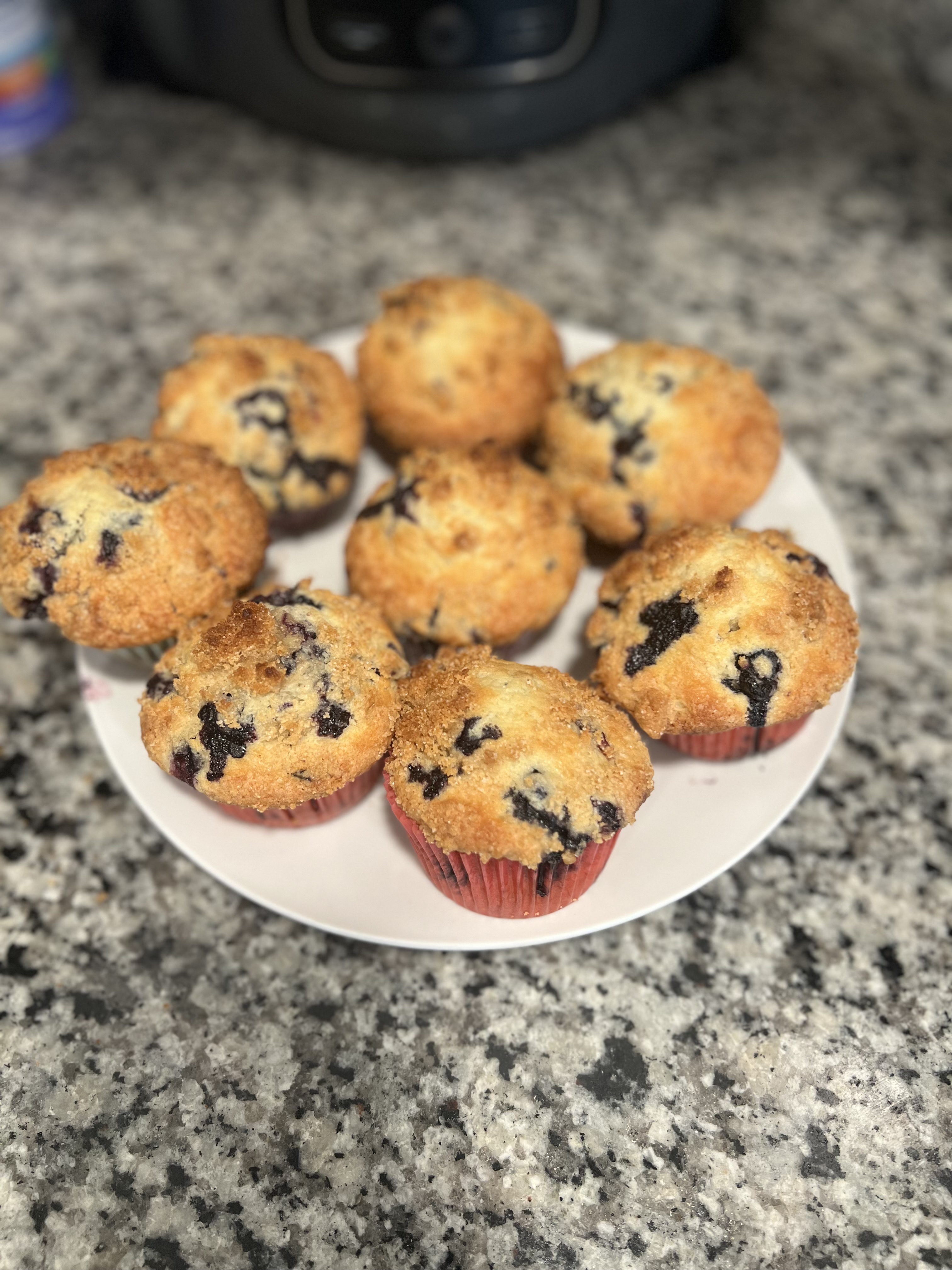 Blueberry Muffins (6)