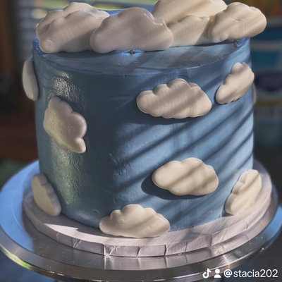 Cake Dummy