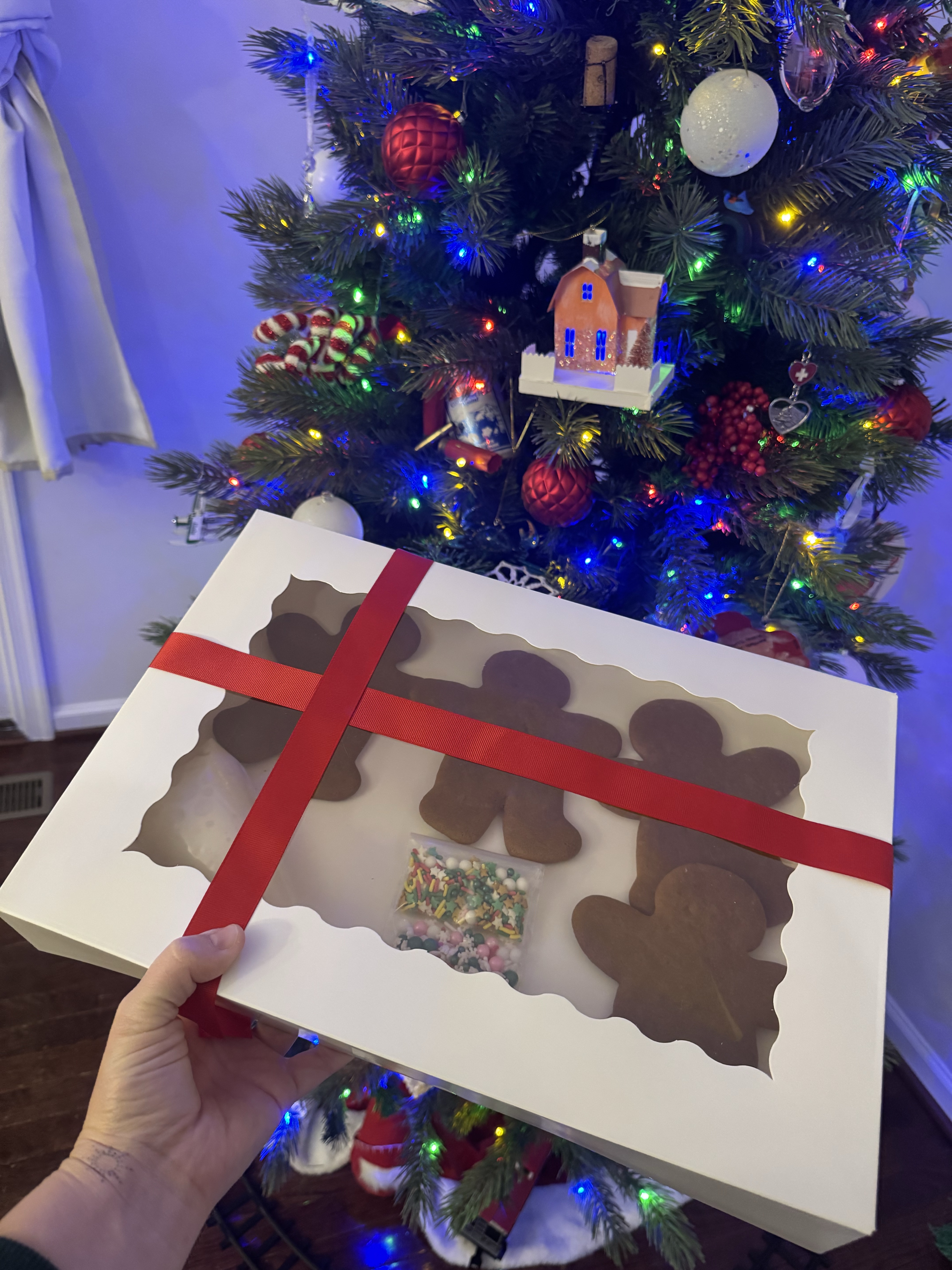 Gingerbread Men Kit