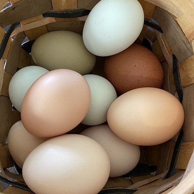 Eggs - Dozen