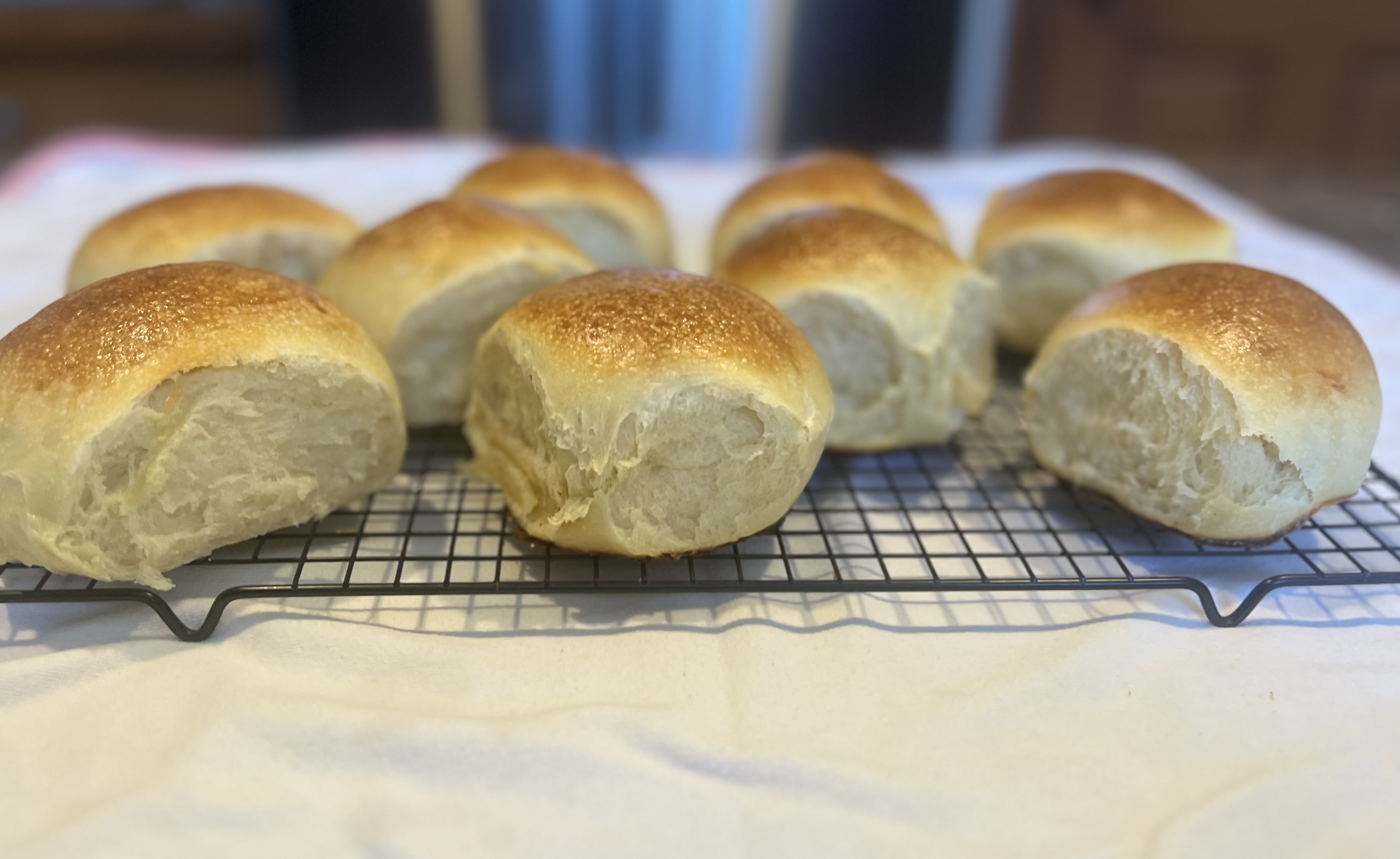Dinner Rolls
