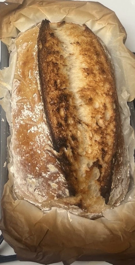 Plain Sourdough Loaf