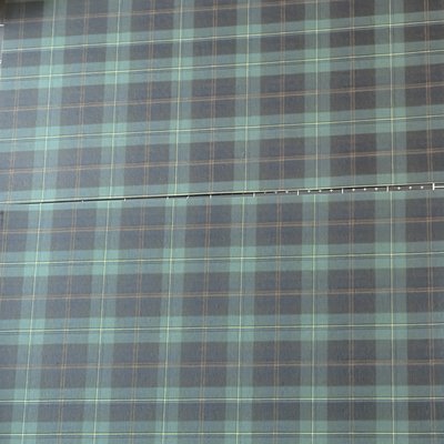 Plaid Full Page Print 
