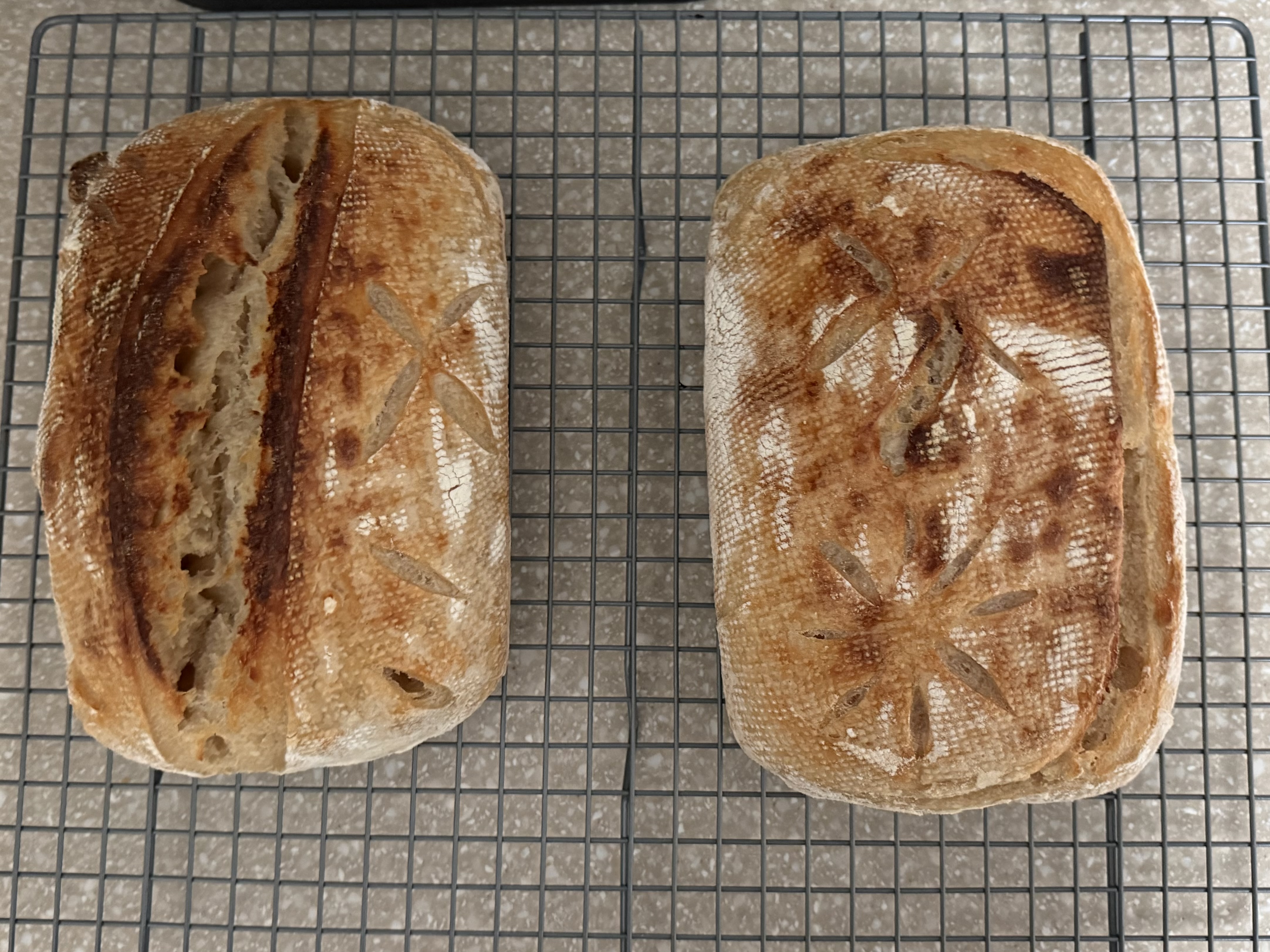 Regular Sourdough Bread