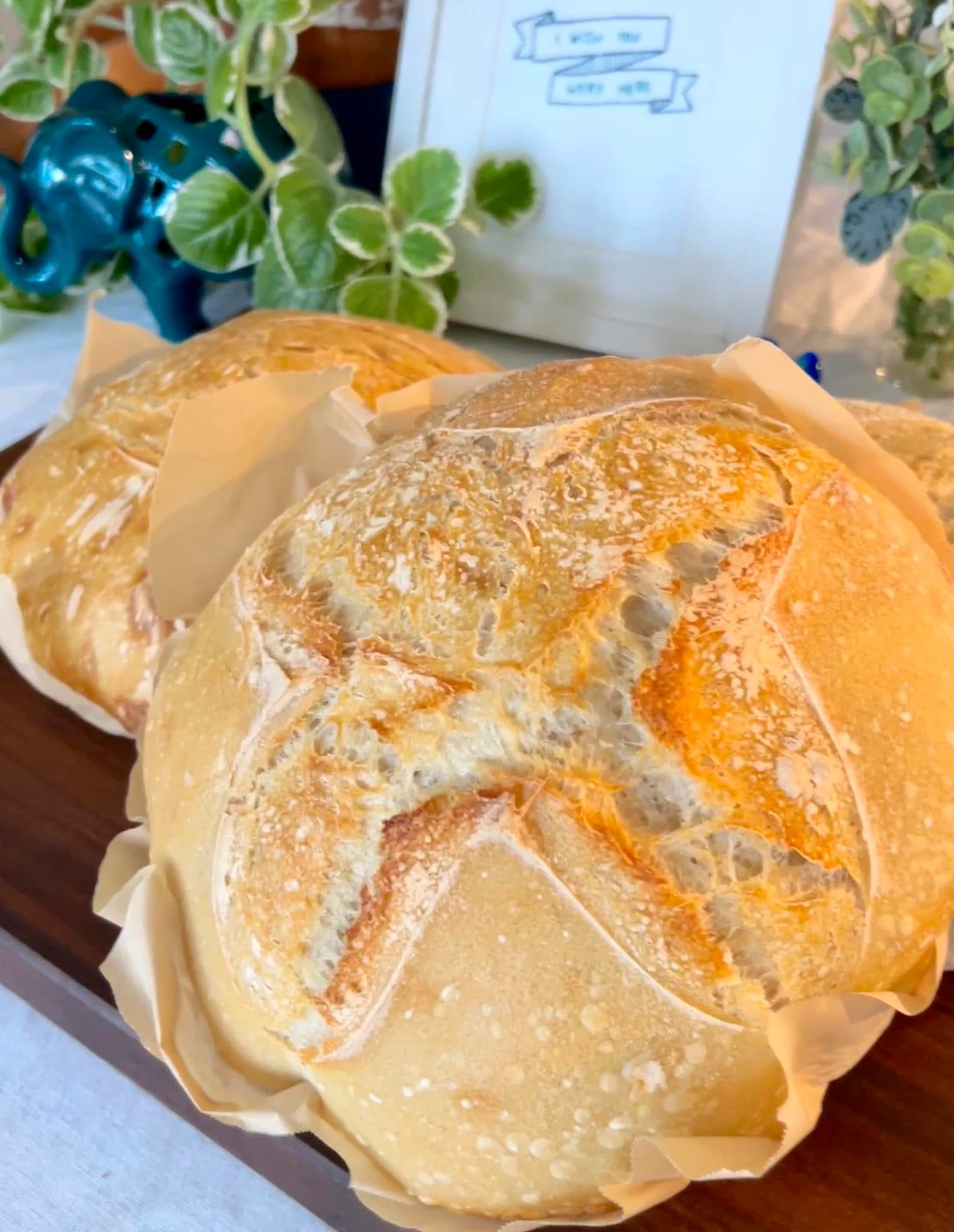 Sourdough Boule 
