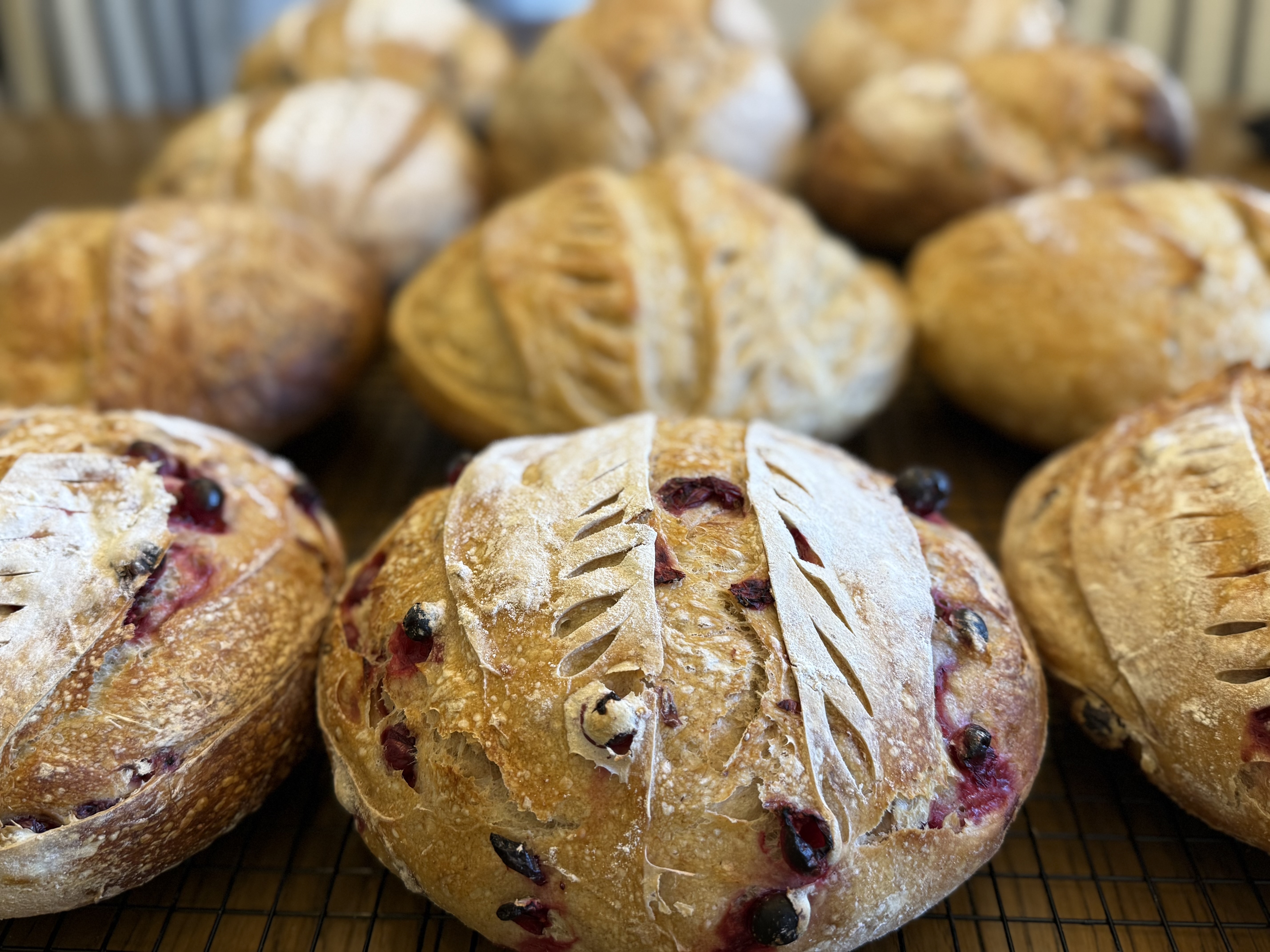 Blueberry Lemon Zest Sourdough Bread
