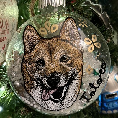 Large Shaker Pet Ornament  🎄🐾🎁