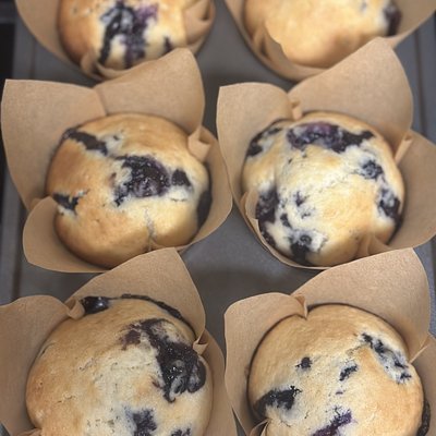 Blueberry Muffins (dozen)