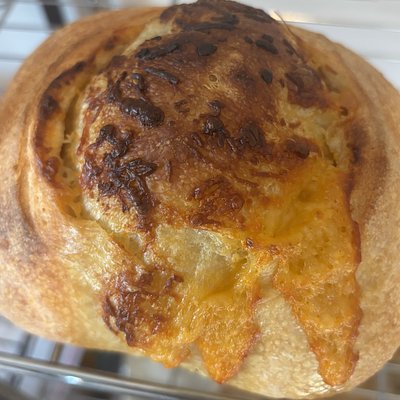 Small Cheesy Garlic Sourdough 