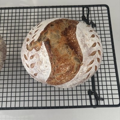 Rosemary Sourdough Loaf