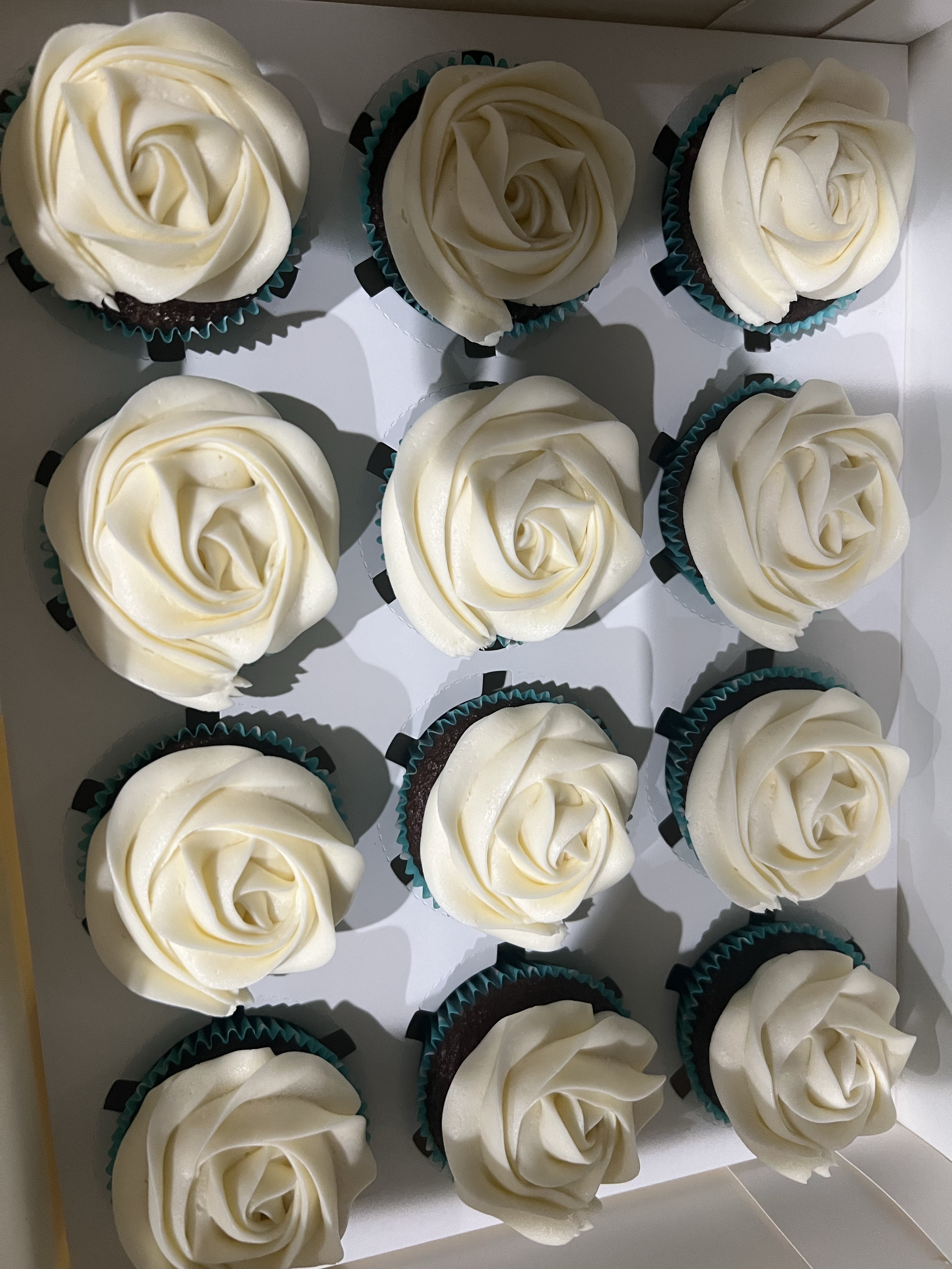 Regular Cupcakes