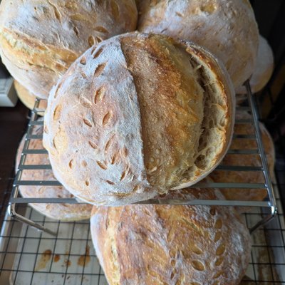 Sourdough Boule