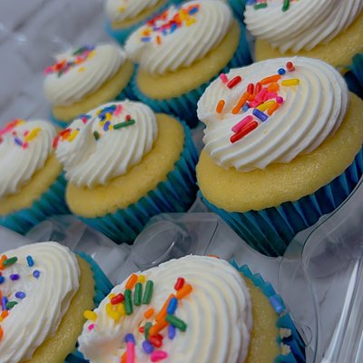 Basic Vanilla Cupcakes 