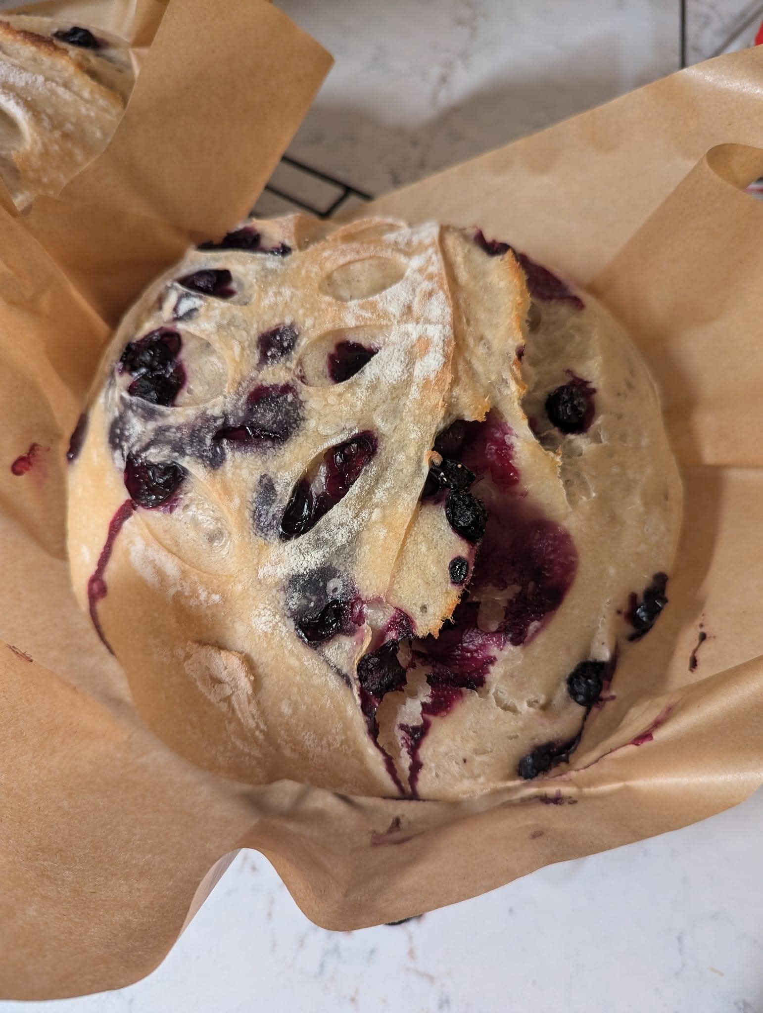 Mini Blueberry & Lemon Zest Boule