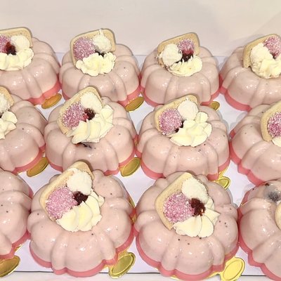 Gelatinas Sponch 12 Pz 