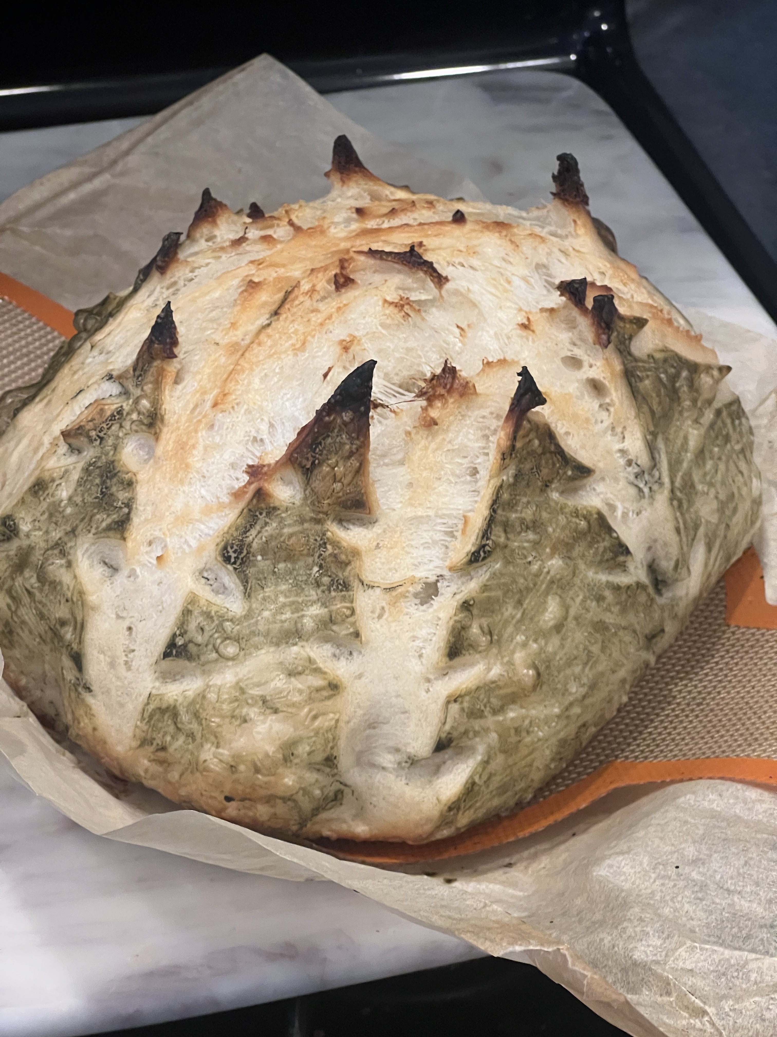 Christmas Tree Loaves