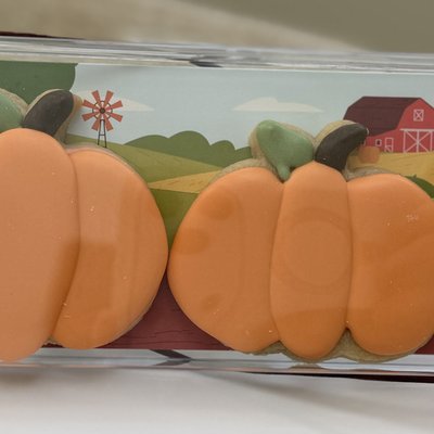 (3) Pumpkin Mini 