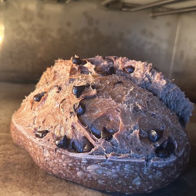 Chocolate Sourdough