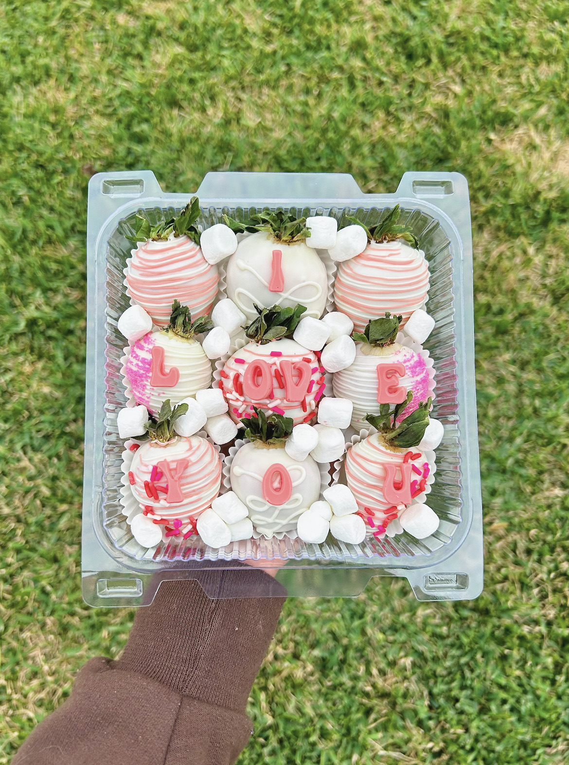 9ct Strawberries