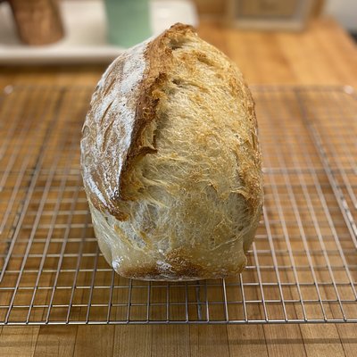 Classic Sourdough Loaf