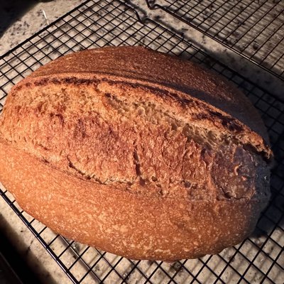 Large Organic Whole Wheat Sourdough