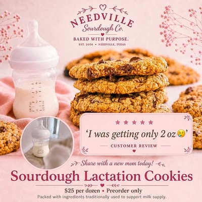 Sourdough Lactation Cookies Dozen