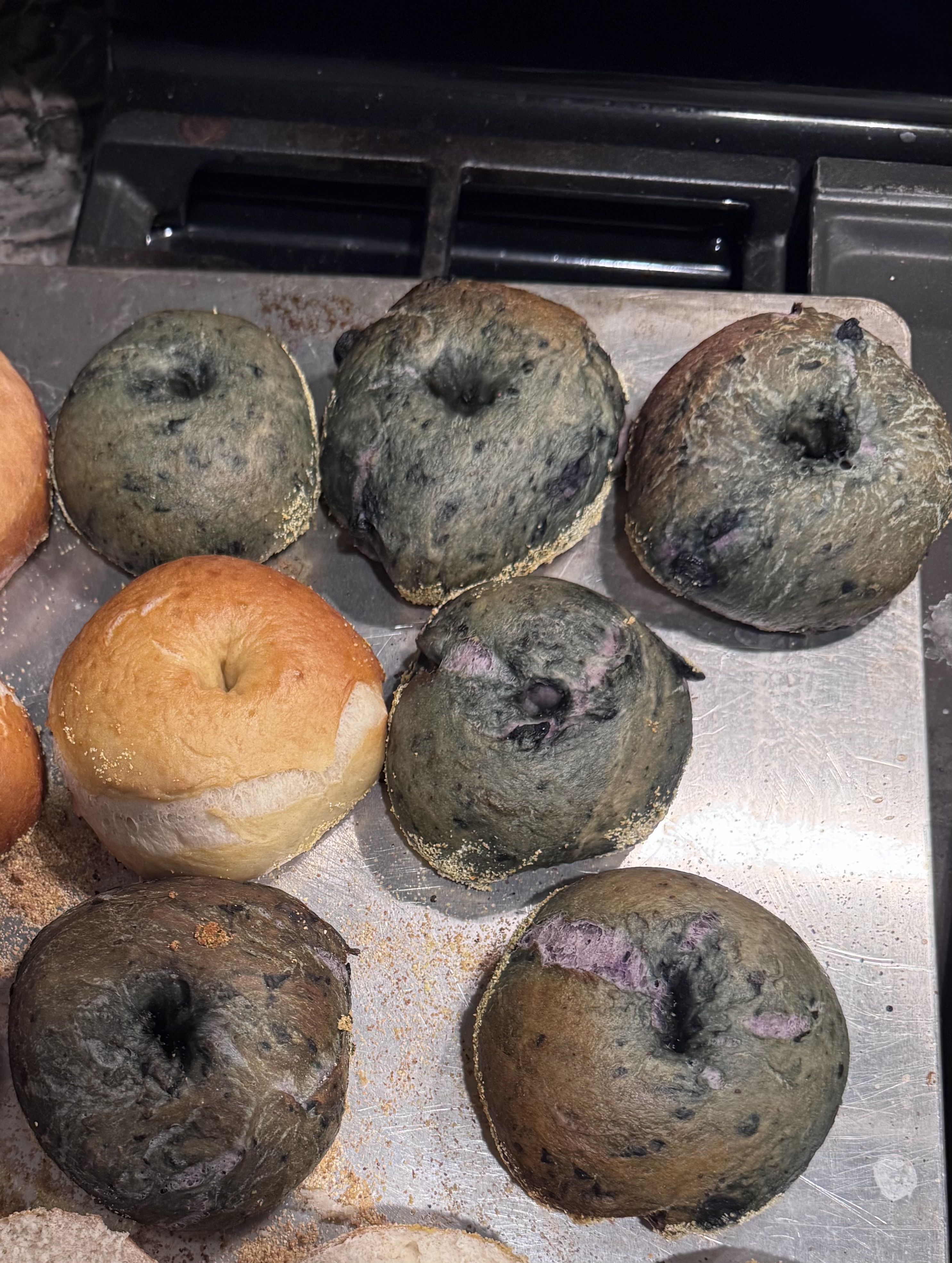 Blueberry 🫐 Bagels Package Of 6 
