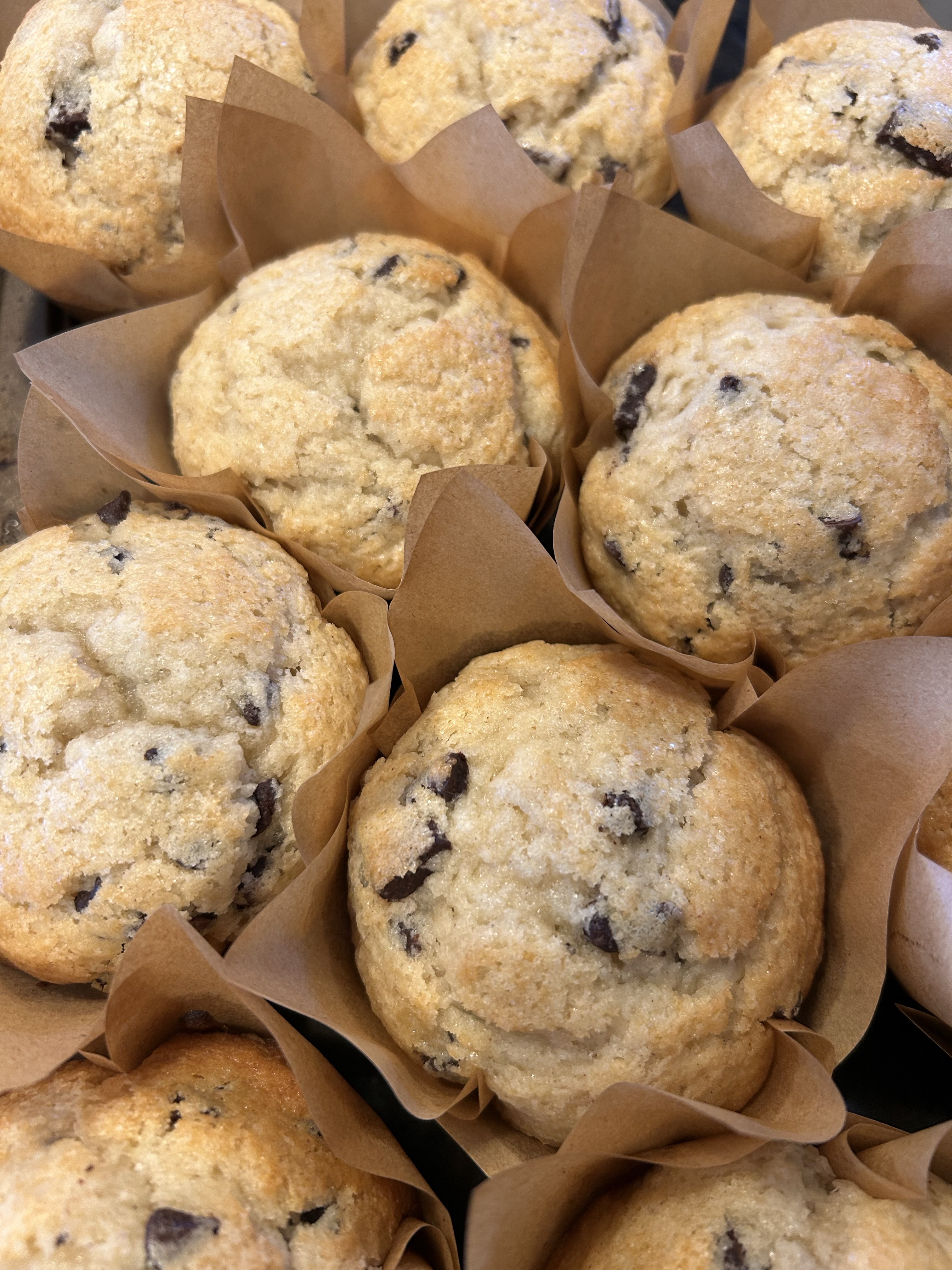 Chocolate Chip Muffins (6)