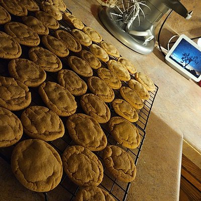 Peanut Butter Cookies