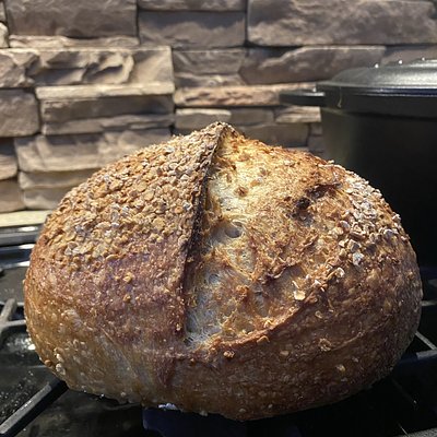 Toasted Oat & Honey Sourdough Loaf