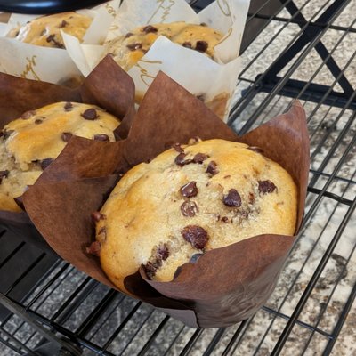 Chocolate Chip Muffins (6) 🌿