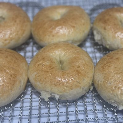 Plain Bagels 