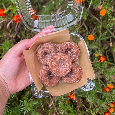 Mini Apple Cider Donuts 6pack