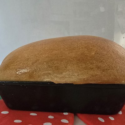 Sandwich Bread 