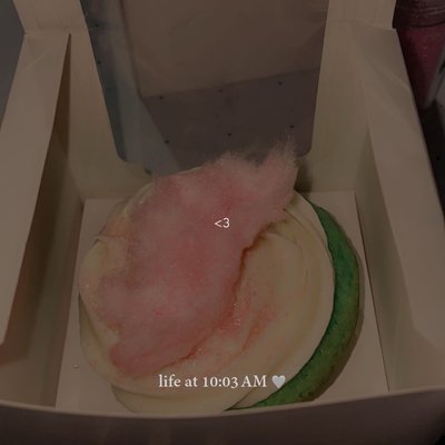 Half Dozen Cupcakes