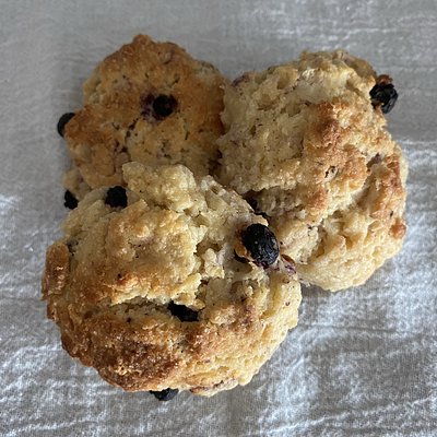 Blueberry Lemon Scones (6 pk round)
