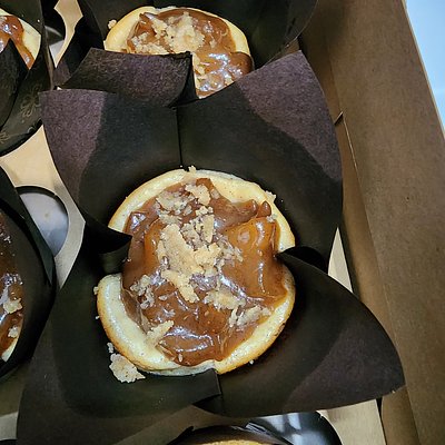 Apple Crumb Cheesecake 