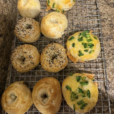 Variety Bagels