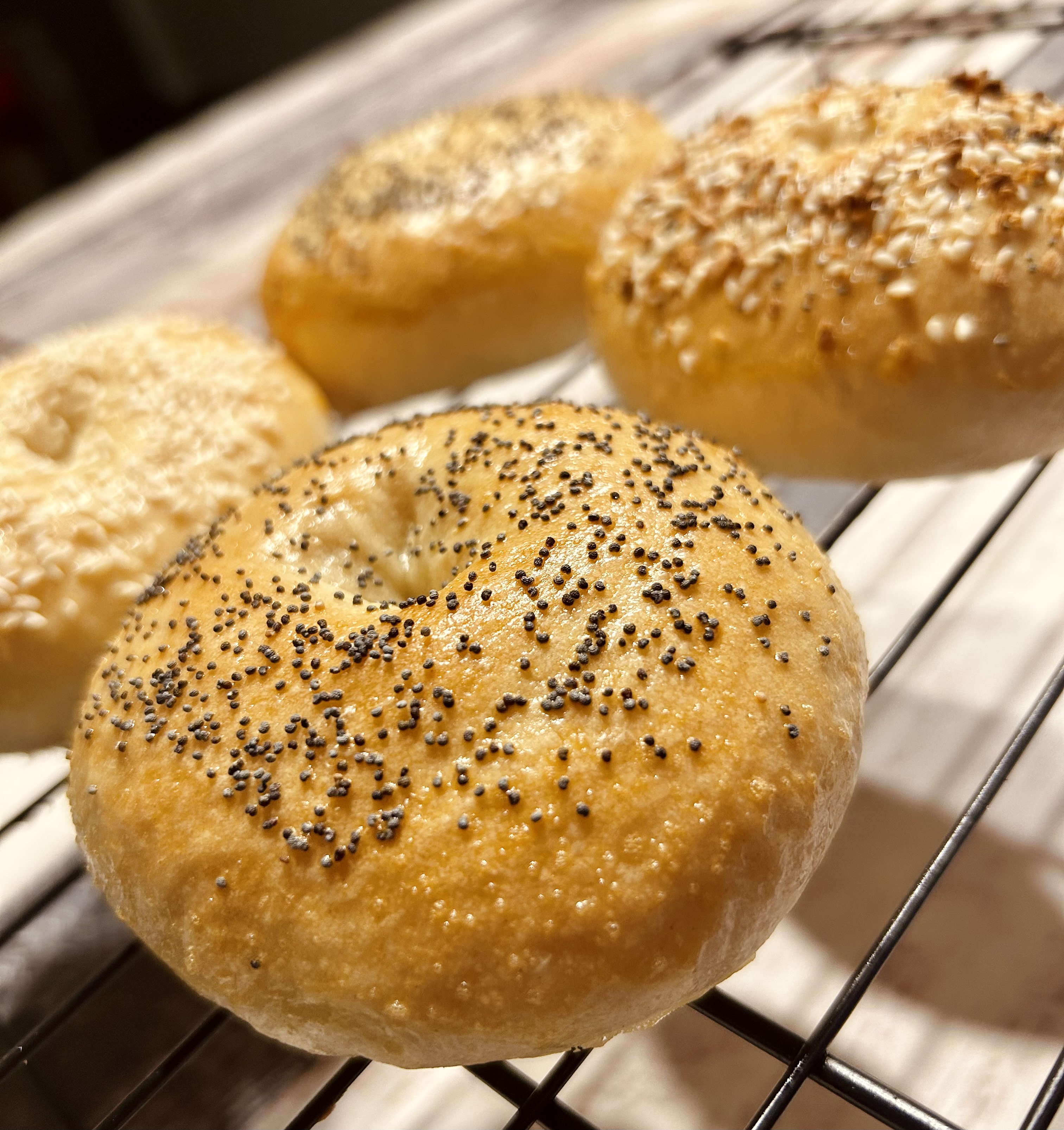 🌟🥯Bagel Variety Box