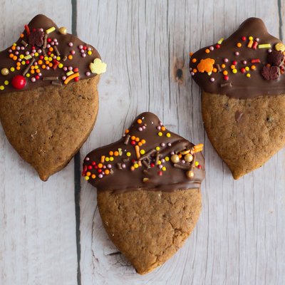 Gingerbread Acorn Fall Thanksgiving Cookies Chocolate Dipped box of 6