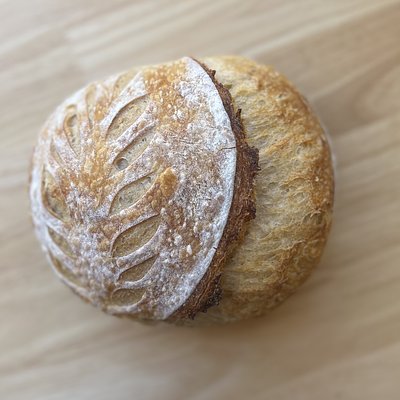 Plain Sourdough Loaf