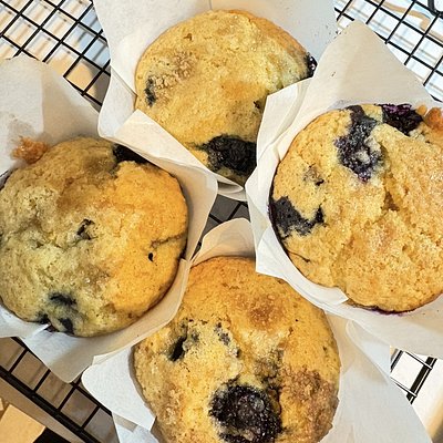 Blueberry Muffins (8)