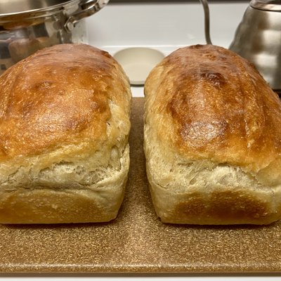 Organic Sourdough Sandwich Bread