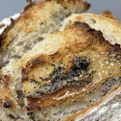 Everything But The Bagel