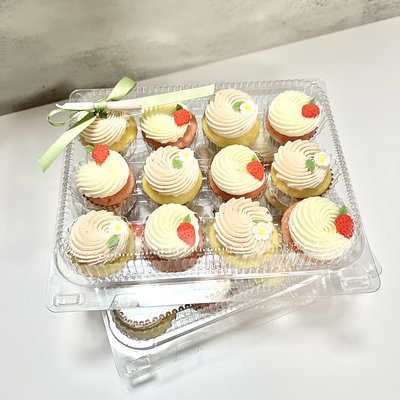 Mini Cupcakes (2 Dozen)