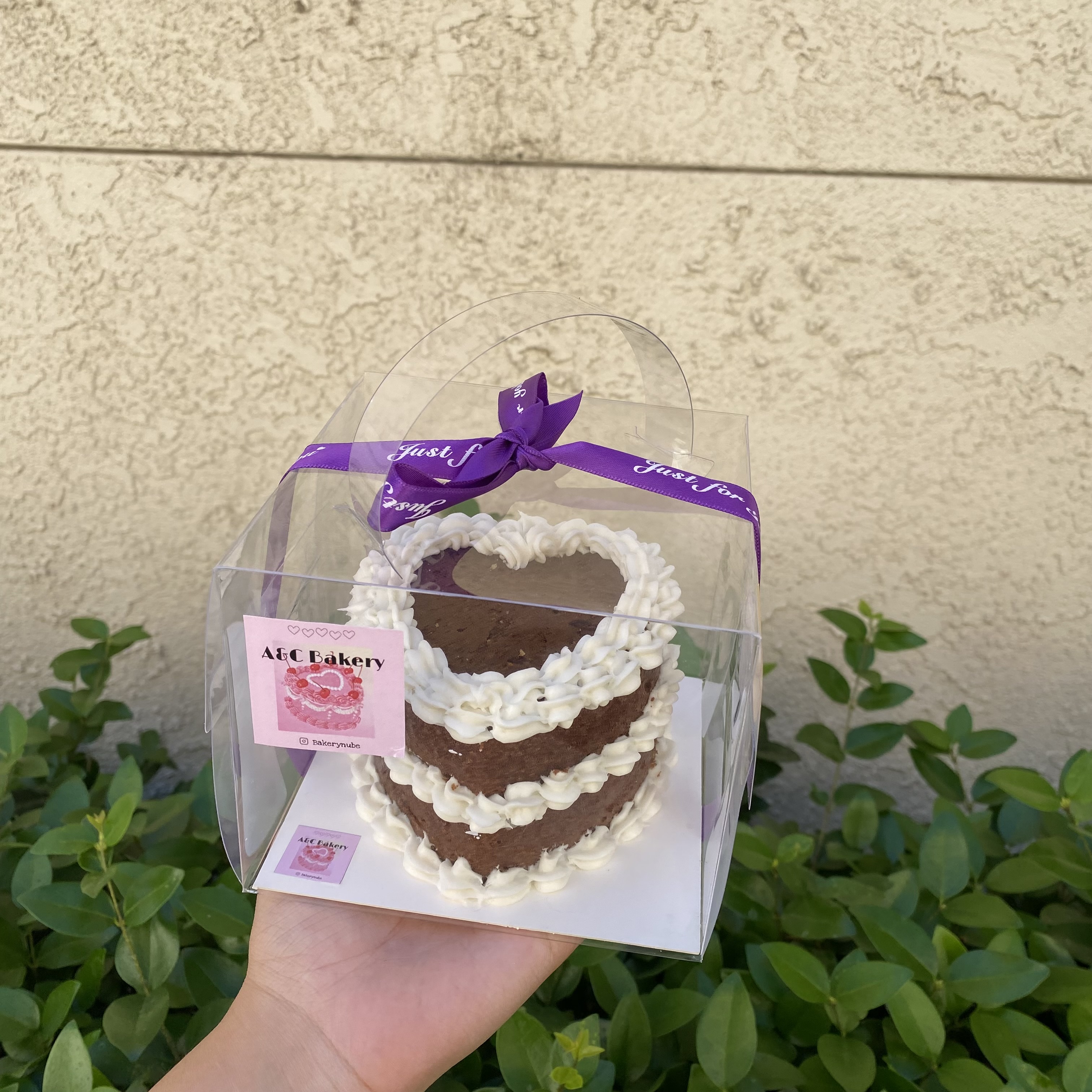Bento Cake